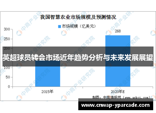 英超球员转会市场近年趋势分析与未来发展展望 英超球员转会市场近年趋势分析与未来发展展望