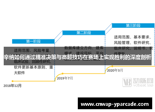 辛纳如何通过精准决策与高超技巧在赛场上实现胜利的深度剖析 辛纳如何通过精准决策与高超技巧在赛场上实现胜利的深度剖析