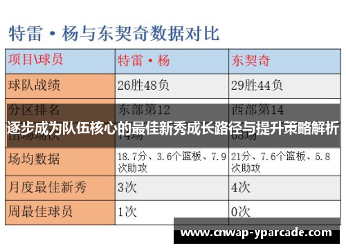 逐步成为队伍核心的最佳新秀成长路径与提升策略解析