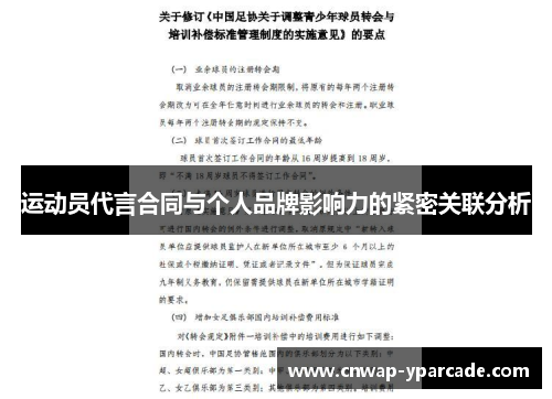 运动员代言合同与个人品牌影响力的紧密关联分析 运动员代言合同与个人品牌影响力的紧密关联分析